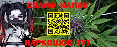 крисы Пенза