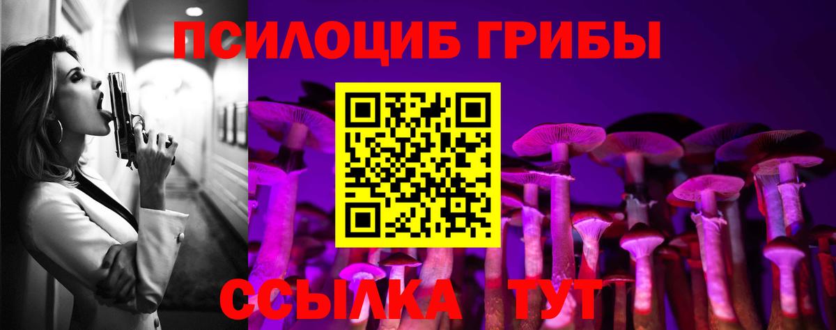 Галлюциногенные грибы Psilocybine cubensis Саратов